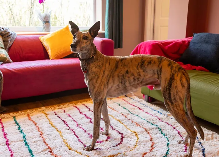 Stockwood House By Cliftonvalley Prázdninový dům *