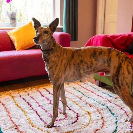 Stockwood House By Cliftonvalley Tatil Evi *